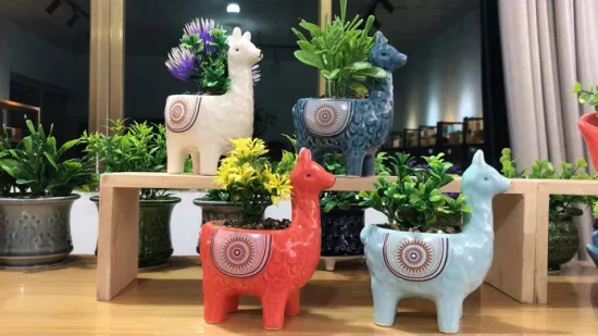 Neuer Design-Keramiktopf in Tierform mit Pflanzensamll Sukkulenten